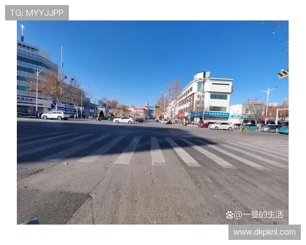 德州大小:分析德州大小城市的基础设施建设和交通便利性对居民生活的促进作用